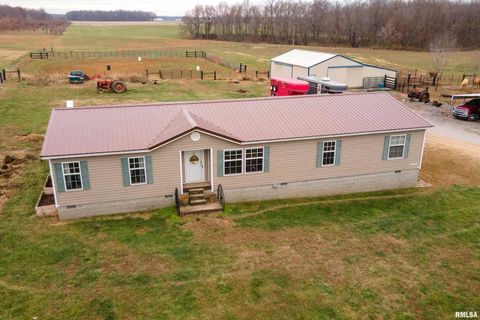 Photo of 3996 Belgium Road, Mulkeytown, IL 62865 (MLS # QC4270039)