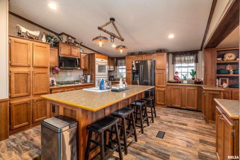 Tiny photo for 3996 Belgium Road, Mulkeytown, IL 62865 (MLS # QC4270039)