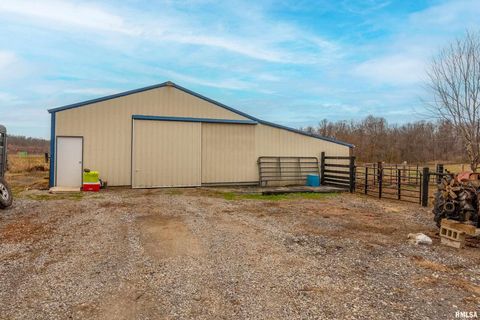 Tiny photo for 3996 Belgium Road, Mulkeytown, IL 62865 (MLS # QC4270039)