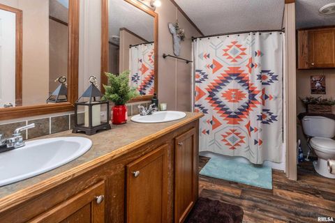 Tiny photo for 3996 Belgium Road, Mulkeytown, IL 62865 (MLS # QC4270039)