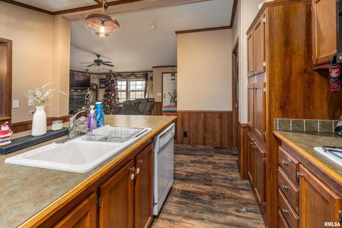 Tiny photo for 3996 Belgium Road, Mulkeytown, IL 62865 (MLS # QC4270039)