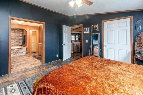 Tiny photo for 3996 Belgium Road, Mulkeytown, IL 62865 (MLS # QC4270039)