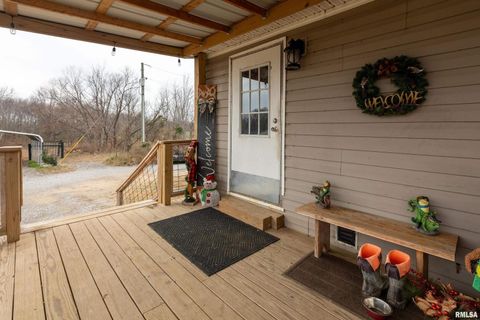 Tiny photo for 3996 Belgium Road, Mulkeytown, IL 62865 (MLS # QC4270039)