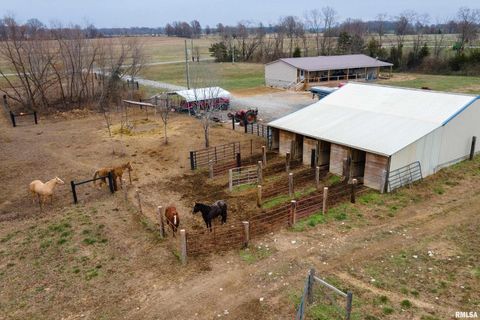 Tiny photo for 3996 Belgium Road, Mulkeytown, IL 62865 (MLS # QC4270039)