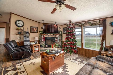 Tiny photo for 3996 Belgium Road, Mulkeytown, IL 62865 (MLS # QC4270039)