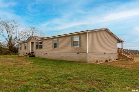 Tiny photo for 3996 Belgium Road, Mulkeytown, IL 62865 (MLS # QC4270039)