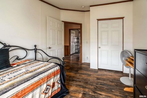 Tiny photo for 3996 Belgium Road, Mulkeytown, IL 62865 (MLS # QC4270039)