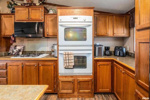 Tiny photo for 3996 Belgium Road, Mulkeytown, IL 62865 (MLS # QC4270039)