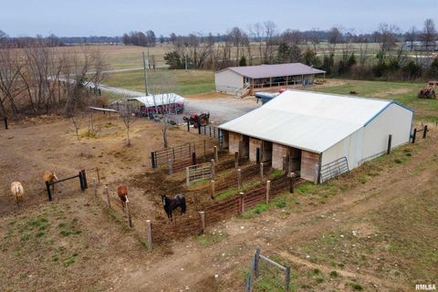 Tiny photo for 3996 Belgium Road, Mulkeytown, IL 62865 (MLS # QC4270039)