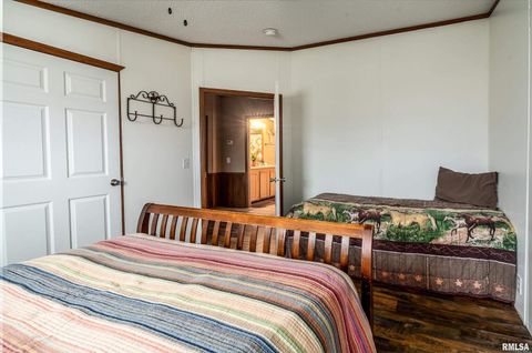 Tiny photo for 3996 Belgium Road, Mulkeytown, IL 62865 (MLS # QC4270039)