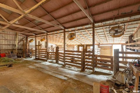 Tiny photo for 3996 Belgium Road, Mulkeytown, IL 62865 (MLS # QC4270039)