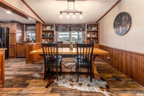 Tiny photo for 3996 Belgium Road, Mulkeytown, IL 62865 (MLS # QC4270039)