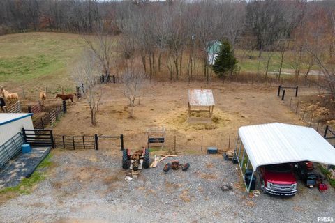 Tiny photo for 3996 Belgium Road, Mulkeytown, IL 62865 (MLS # QC4270039)