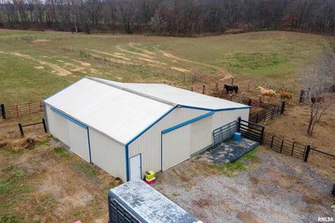 Tiny photo for 3996 Belgium Road, Mulkeytown, IL 62865 (MLS # QC4270039)