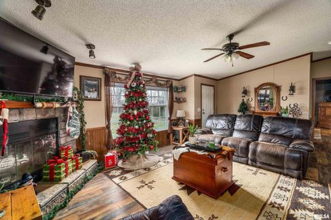 Tiny photo for 3996 Belgium Road, Mulkeytown, IL 62865 (MLS # QC4270039)