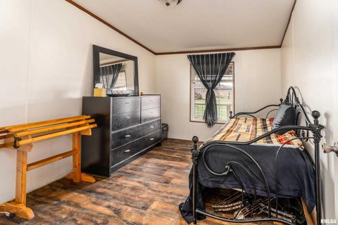 Tiny photo for 3996 Belgium Road, Mulkeytown, IL 62865 (MLS # QC4270039)