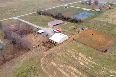 Tiny photo for 3996 Belgium Road, Mulkeytown, IL 62865 (MLS # QC4270039)