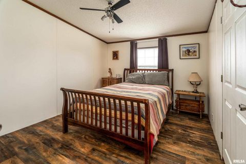 Tiny photo for 3996 Belgium Road, Mulkeytown, IL 62865 (MLS # QC4270039)