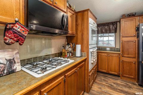 Tiny photo for 3996 Belgium Road, Mulkeytown, IL 62865 (MLS # QC4270039)