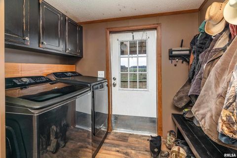 Tiny photo for 3996 Belgium Road, Mulkeytown, IL 62865 (MLS # QC4270039)