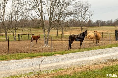 Tiny photo for 3996 Belgium Road, Mulkeytown, IL 62865 (MLS # QC4270039)