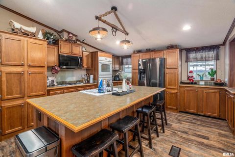 Tiny photo for 3996 Belgium Road, Mulkeytown, IL 62865 (MLS # QC4270039)