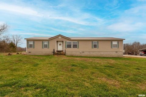 Tiny photo for 3996 Belgium Road, Mulkeytown, IL 62865 (MLS # QC4270039)