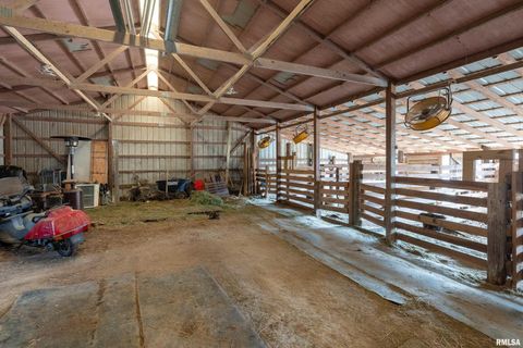 Tiny photo for 3996 Belgium Road, Mulkeytown, IL 62865 (MLS # QC4270039)