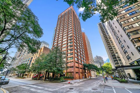 247 E Chestnut Street 1301 Chicago IL 60611