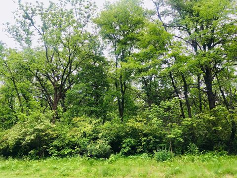 704 Echo (Lot 21) Trail Marengo IL 60152