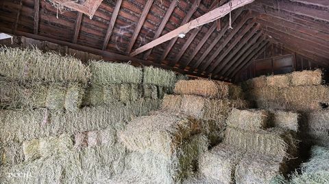 Tiny photo for Somonauk, IL 60552 (MLS # 12514133)