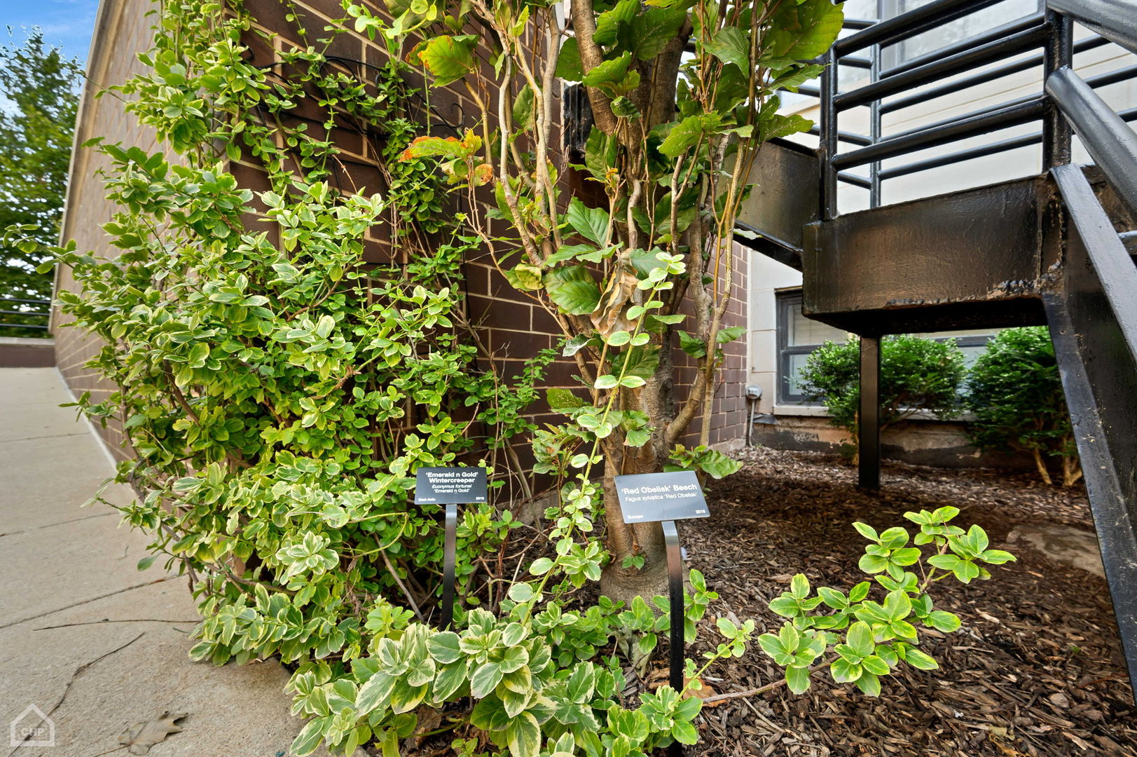 4235 S Calumet Avenue