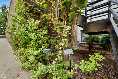 Tiny photo for 4235 S Calumet Avenue, Chicago, IL 60653 (MLS # 12524334)