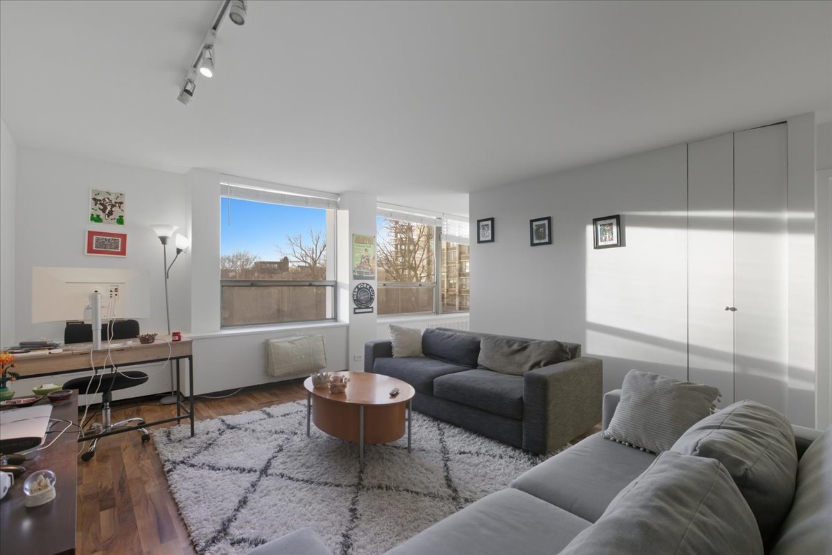 1355 N Sandburg Terrace 303D