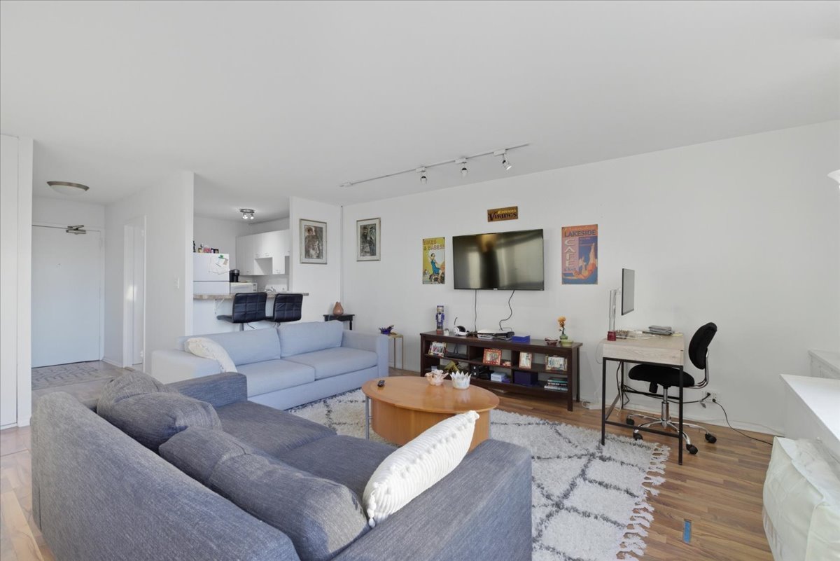 1355 N Sandburg Terrace 303D