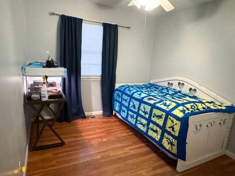 Tiny photo for 300 Williford Road, Jonesboro, IL 62906 (MLS # 100000126)