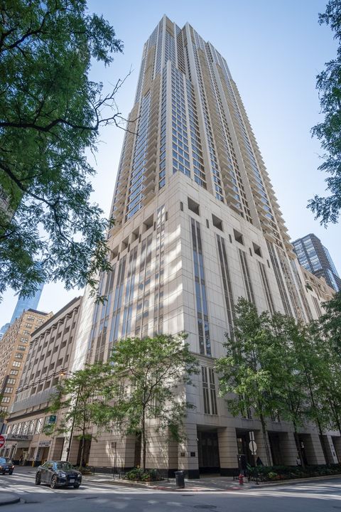 55 E Erie Street 3203 Chicago IL 60611