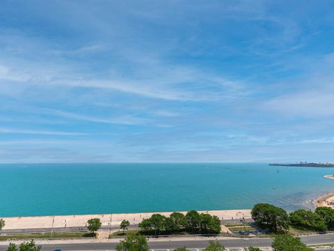 Tiny photo for 1212 N Lake Shore Drive #12CN, Chicago, IL 60610 (MLS # 12508141)