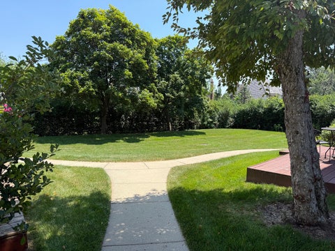 Tiny photo for 449 Old Surrey Road, Hinsdale, IL 60521 (MLS # 12715230)