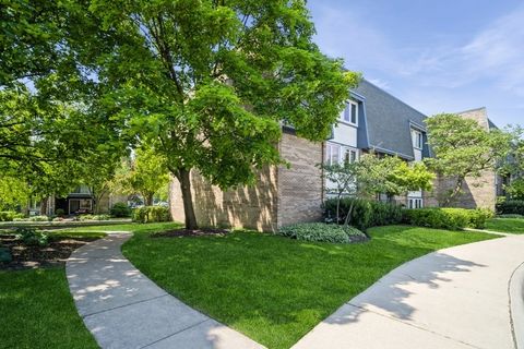 2009 Ammer Ridge Court 102 Glenview IL 60025