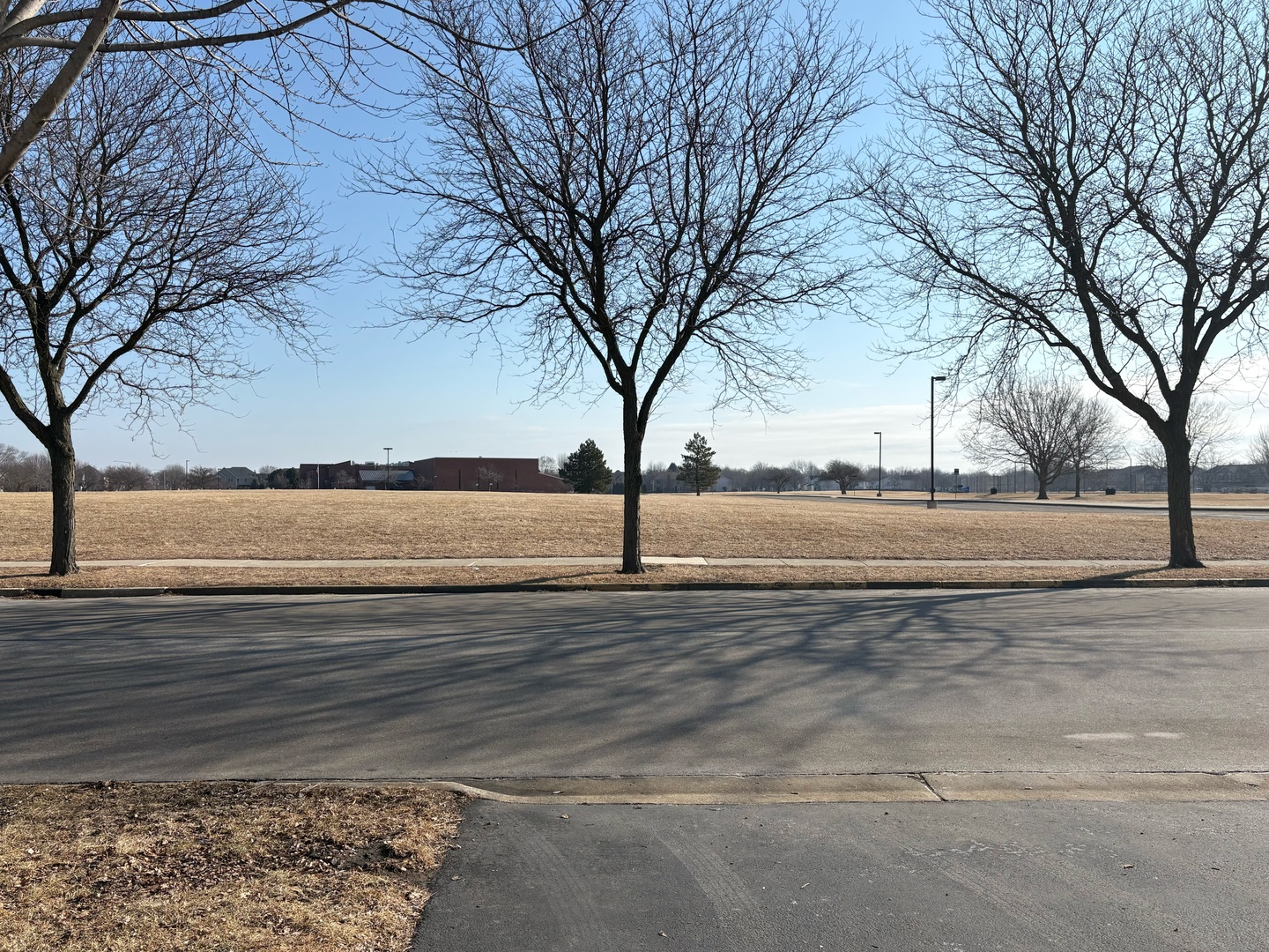 2611 Cedar Glade Drive 201