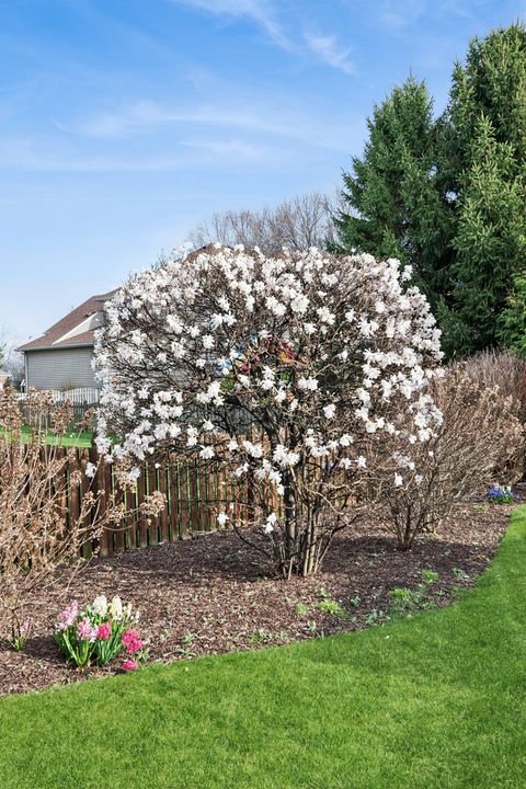 Tiny photo for 12929 Alpine Way, Plainfield, IL 60585 (MLS # 12611013)