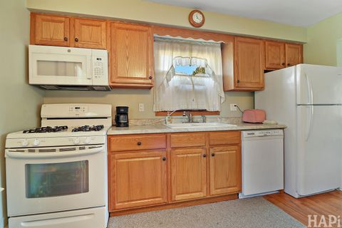 Tiny photo for 311 Brown Street, Wauconda, IL 60084 (MLS # 12492801)