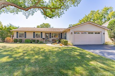 579 Bristol Lane Elk Grove Village IL 60007