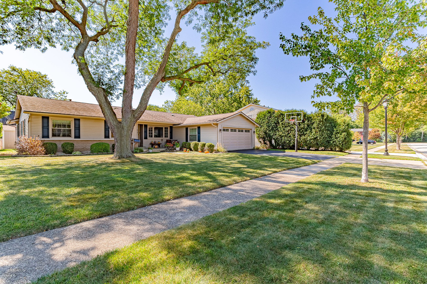 579 Bristol Lane