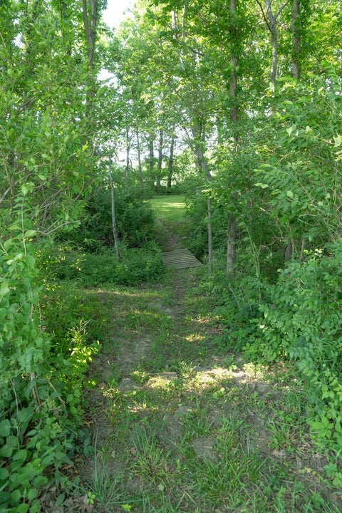Tiny photo for 2796 US Highway 51 Highway, Clinton, IL 61727 (MLS # 12652678)