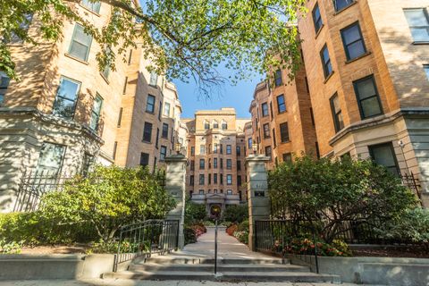 550 W Surf Street 204 Chicago IL 60657