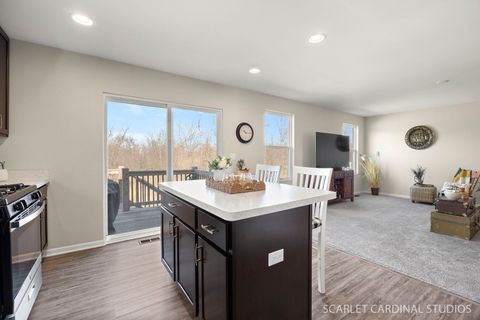 Tiny photo for 1911 Pauline Place, Plano, IL 60545 (MLS # 12568951)