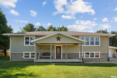 Tiny photo for 1374 290TH Avenue, Charlotte, IA 52731 (MLS # QC4268219)