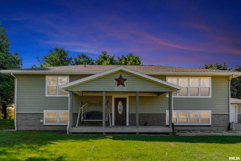 Photo of 1374 290TH Avenue, Charlotte, IA 52731 (MLS # QC4268219)